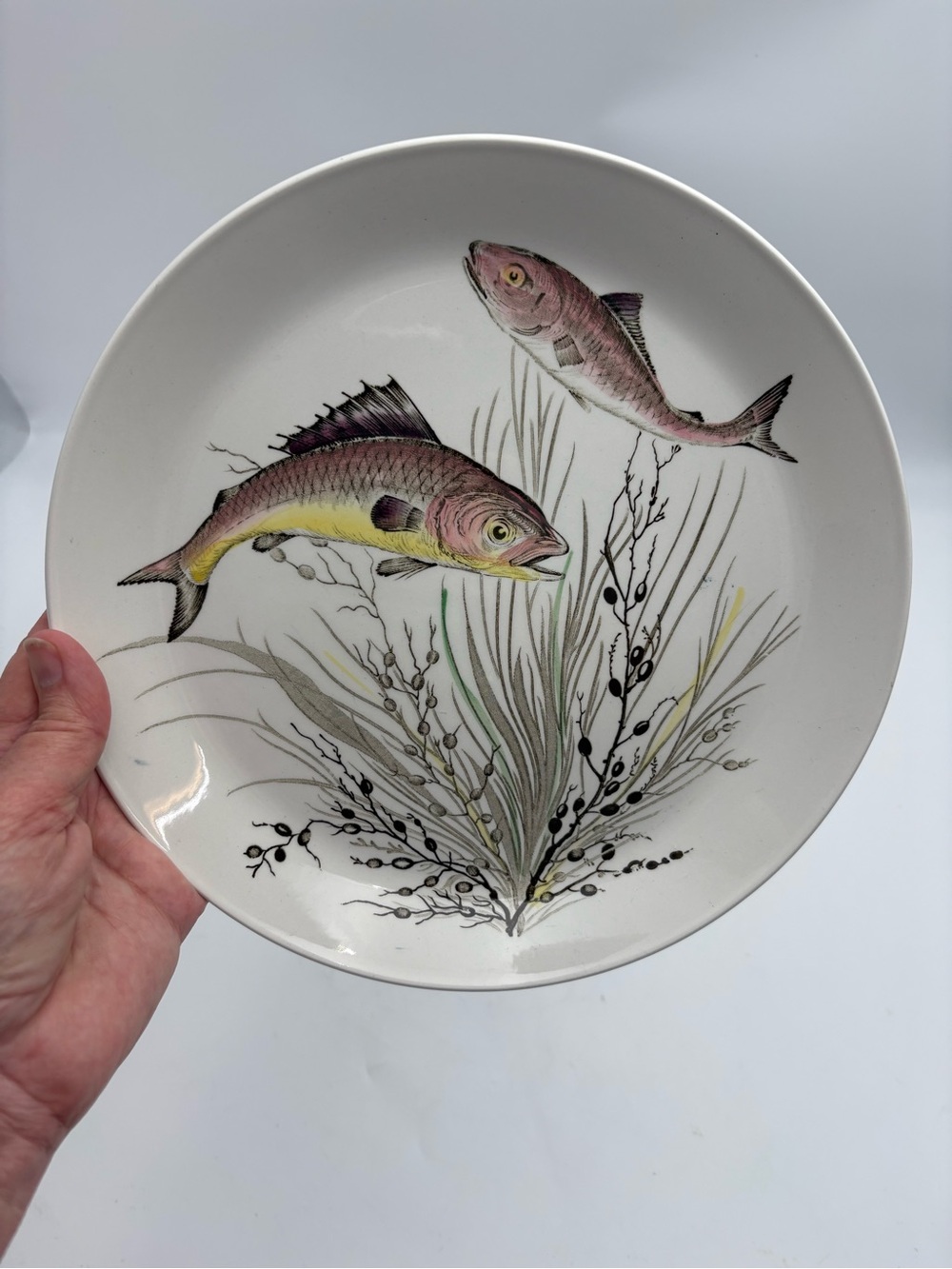 Vintage Johnson Bros. Fish Ceramic Plate Design No. 3 - Made in England - 10” - Picture 2 of 8